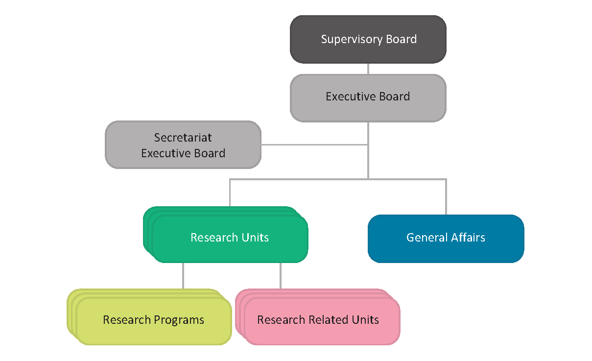 Nivel organogram EN small