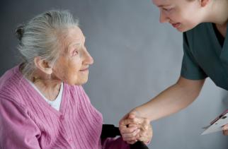 Nivel: Essential elements of high-quality palliative care at home