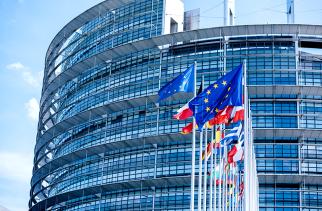 Nivel: Scientific support to the European Commission in the field of (public) health has helped the EU respond to the most pressing health priorities