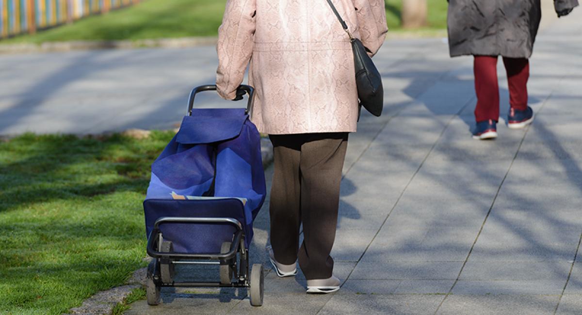 Nivel: Programma Meer Veerkracht, Langer Thuis brengt alleenstaande ouderen in beweging 