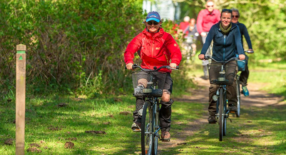 Mensen met een lichte verstandelijke beperking willen graag met reguliere sporters meedoen